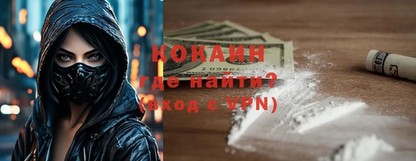 круглые Гусев