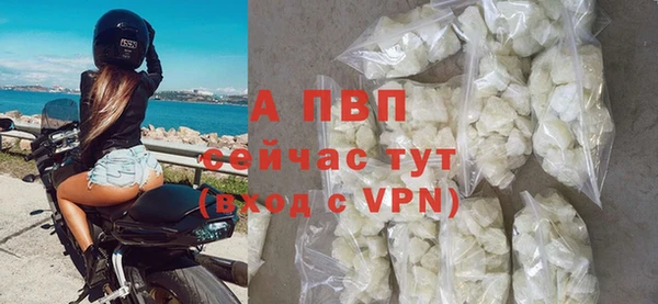 круглые Гусев