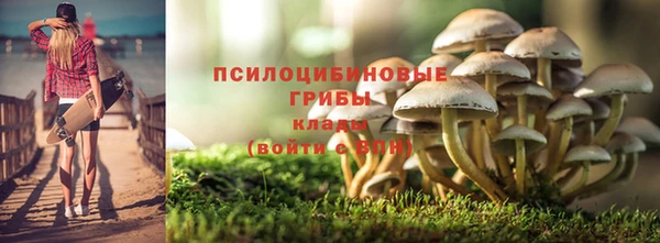 тгк Волосово