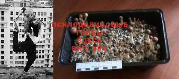 MESCALINE Гусиноозёрск