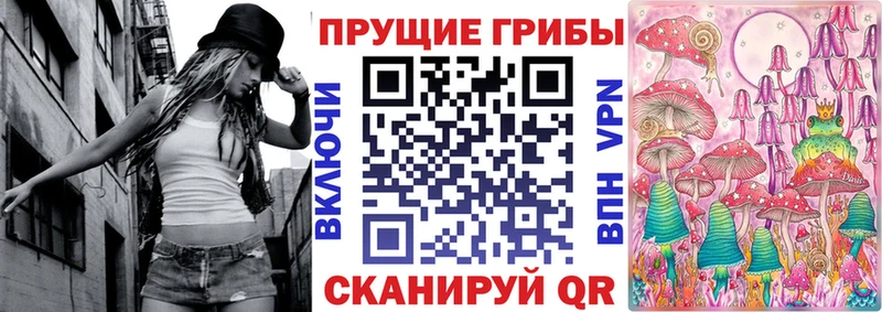 Галлюциногенные грибы MAGIC MUSHROOMS  блэк спрут зеркало  Нолинск 