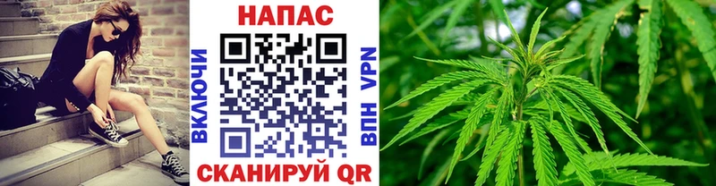 Канабис White Widow Нолинск